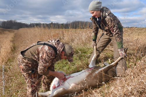 Hunters work to field dress a deer  photo