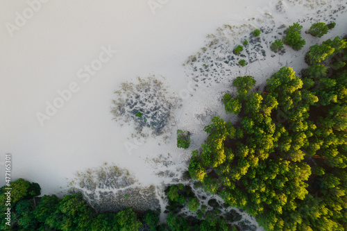 Drone view of a dune with Dense Green vegetation and white sand on Summertime. Aerial photo