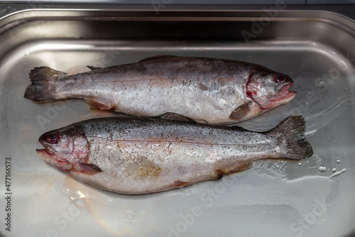 Fresh raw pink salmon fish ...