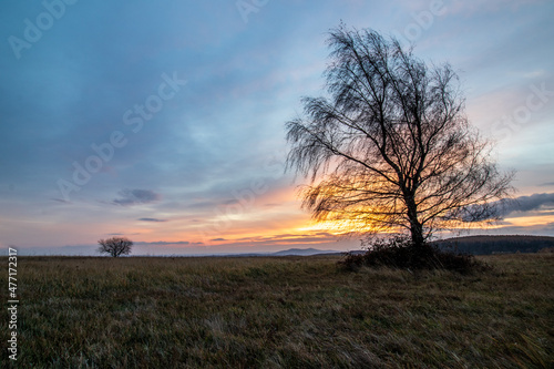sunrise in the field © Sławomir Bodnar