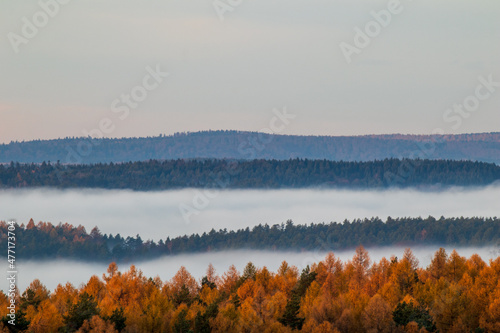 landscape with fog