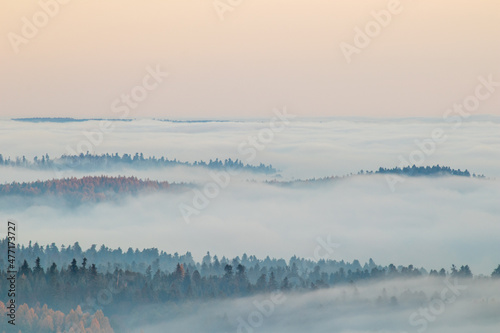 misty morning in the mountains © Sławomir Bodnar