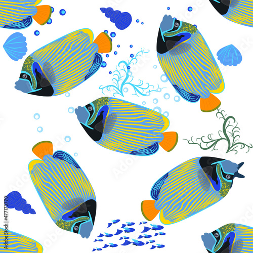 Emperor angelfish Pomacanthus imperator, sea animal wildlife character. Nature underwater, marine wild ocean zoo fish. animals bright seamless patterns.