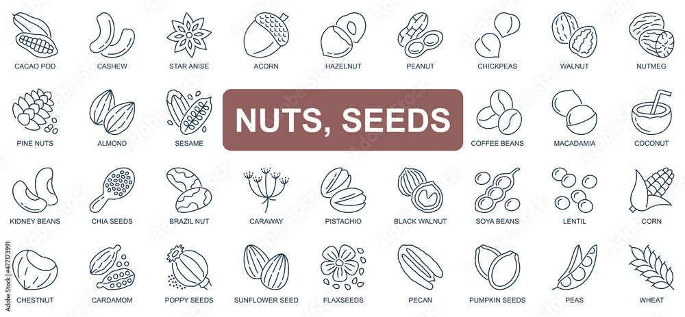 Nuts and seeds concept simple line icons set. Pack outline pictograms of cacao pod, cashew, walnut, acorn, hazelnut, peanut, coffee beans and other. Vector symbols for website and mobile app design