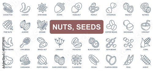 Nuts and seeds concept simple line icons set. Pack outline pictograms of cacao pod, cashew, walnut, acorn, hazelnut, peanut, coffee beans and other. Vector symbols for website and mobile app design