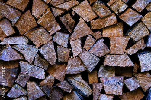 Catasta di legna in montagna photo