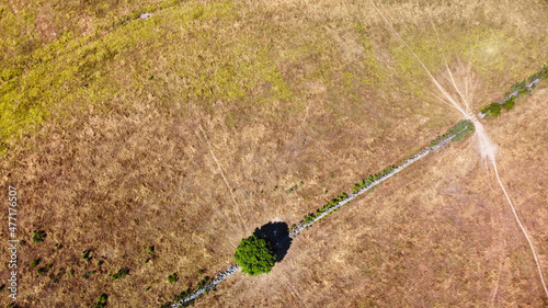Aerial overhead view towards fields and tree.
