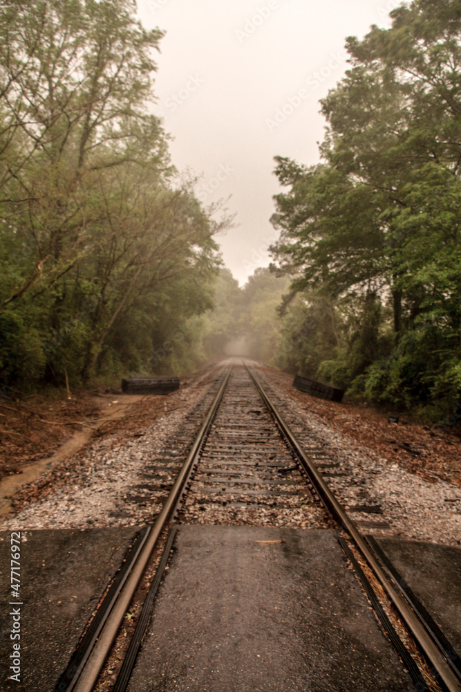 railway in the woods