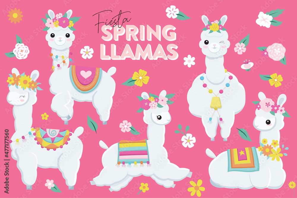 Pretty Llamas with flowers Pretty Llamas with flowers