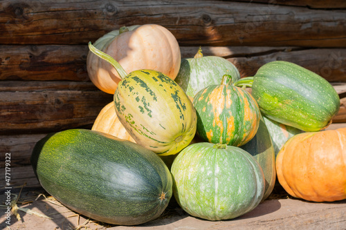 A large group of different sort of autumn season pumpkins.Many sunlit squashes in the barn or market