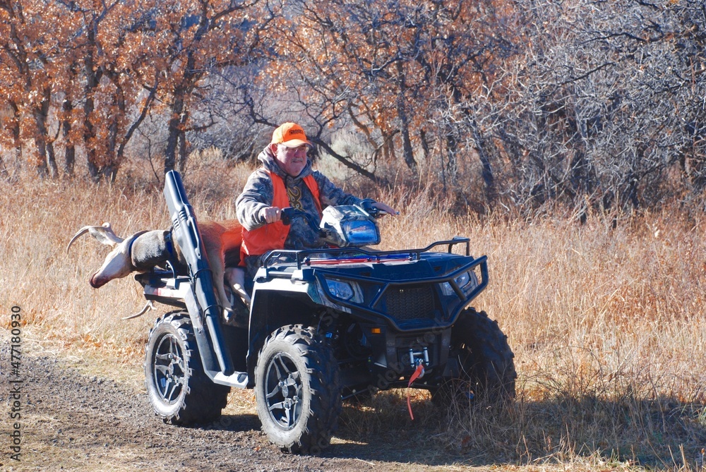 Obraz premium Hunter on a quad with a trophy mule deer 