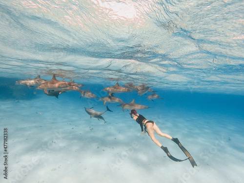 freediving with free dolphins in egypt bay