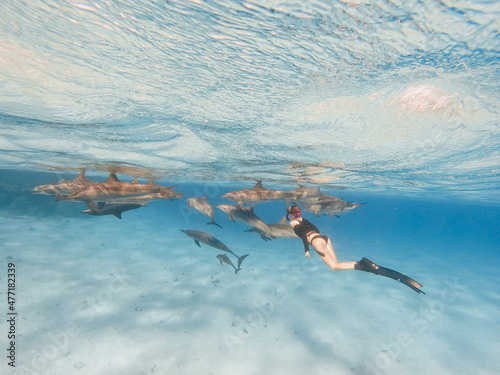 freediving with free dolphins in egypt bay