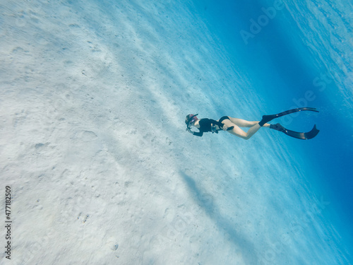 freediving with free dolphins in egypt bay