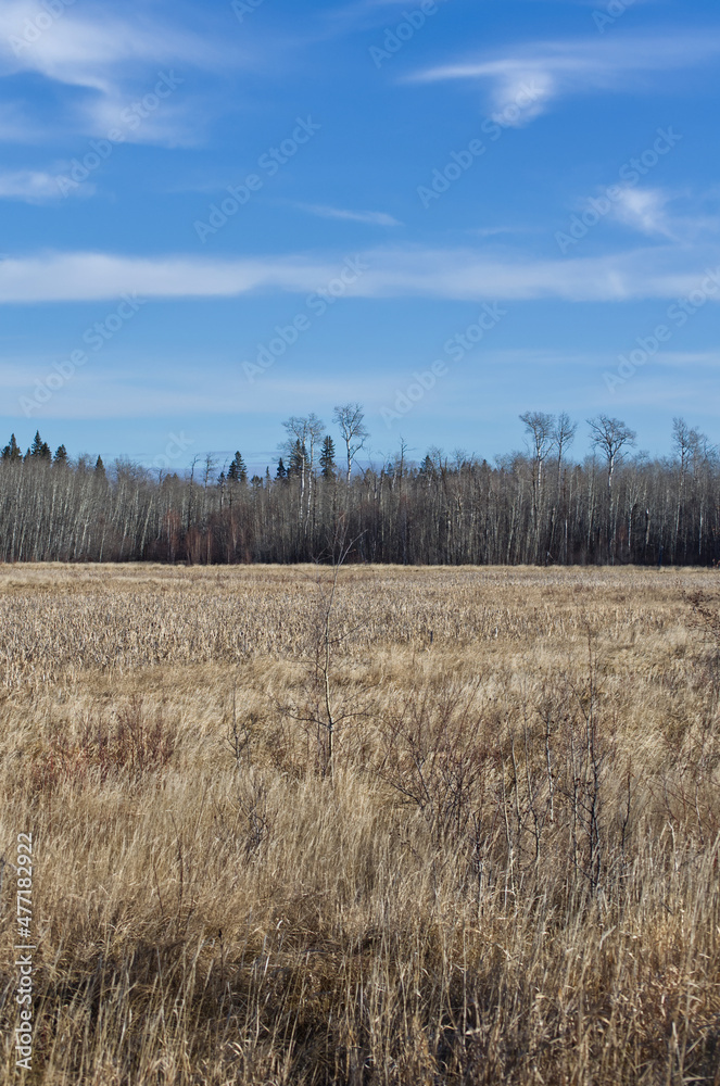 Elk Island National Park on a Cool Autumn Day Elk Island National Park on a Cool Autumn Day