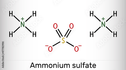 Ammonium sulfate, ammonium sulphate molecule. It is inorganic sulfate salt obtained by reaction of sulfuric acid with two equivalents of ammonia. Skeletal chemical formula