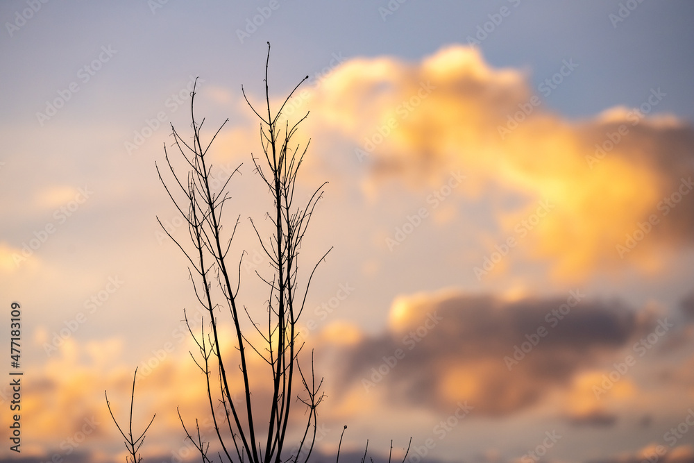 SUNSET SUNSET
