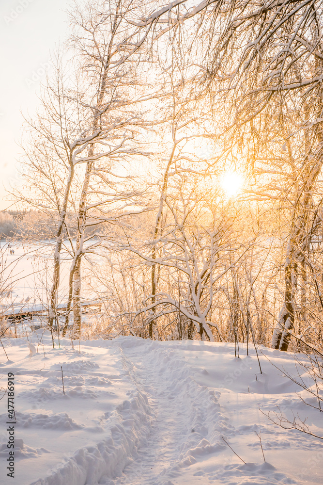 Winter landscape with sunrise. The path in the snow. Winter landscape with sunrise. The path in the snow.