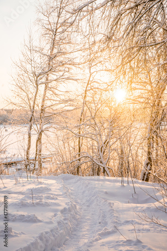 Winter landscape with sunrise. The path in the snow. © Viktoryia Kam