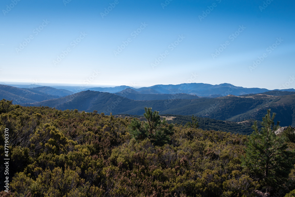 Landscape view of forests on mountains background. Puerto de la Quesera, Segovia, Castilla, Spain