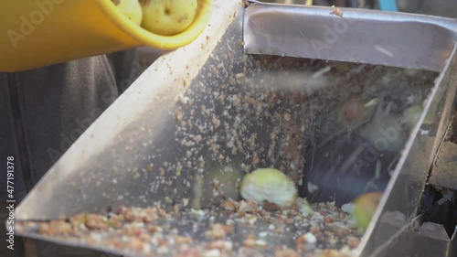 Closeup man uses collected fresh apples for crushing in grinding box before squeezing in wooden press to produce cider in village. Fruit vitamin paste. Raw vegan vegetarian healthy food concept 4k