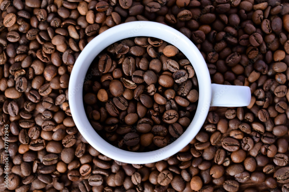 white cup with coffee beans on a coffee background. Close-up. Flat layout with top view white cup with coffee beans on a coffee background. Close-up. Flat layout with top view