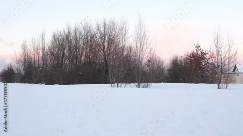 Wallpaper Mural Happy kids, girls playing with snow, snowball fight, winter holidays, vacation, family concept Torontodigital.ca