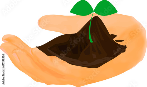 手のひらの上の土と新芽