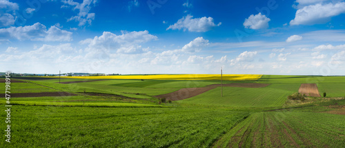 panorama of patchwork agricultural lands from the side of a green field of wi...