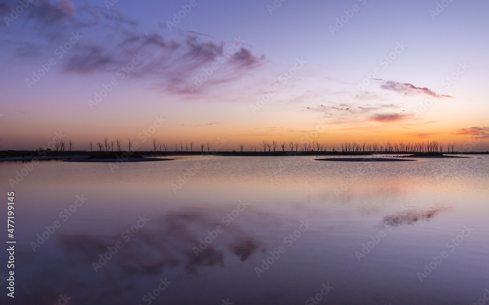 Plain colorful horizon and mirrored waters at sunset with some clouds and dry trees in Carhué, Buenos Aires, Argentina 
