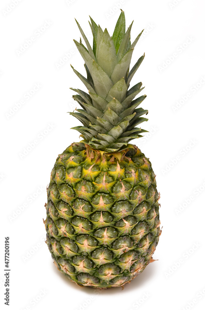pineapple close up isolated on white background pineapple close up isolated on white background
