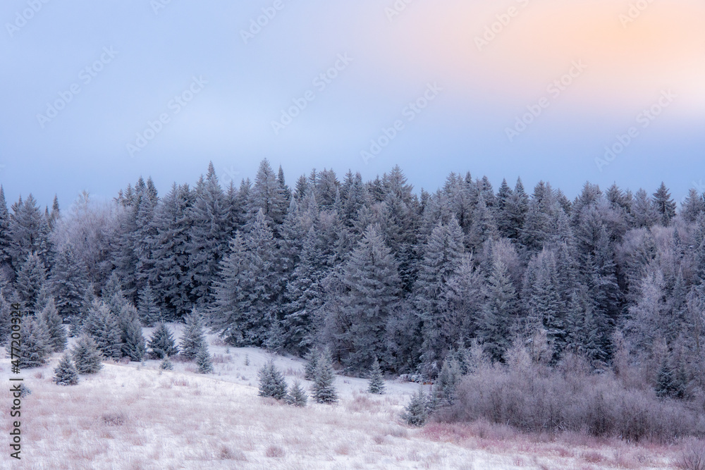 A winter countryside landscape in the province of Quebec, Canada A winter countryside landscape in the province of Quebec, Canada