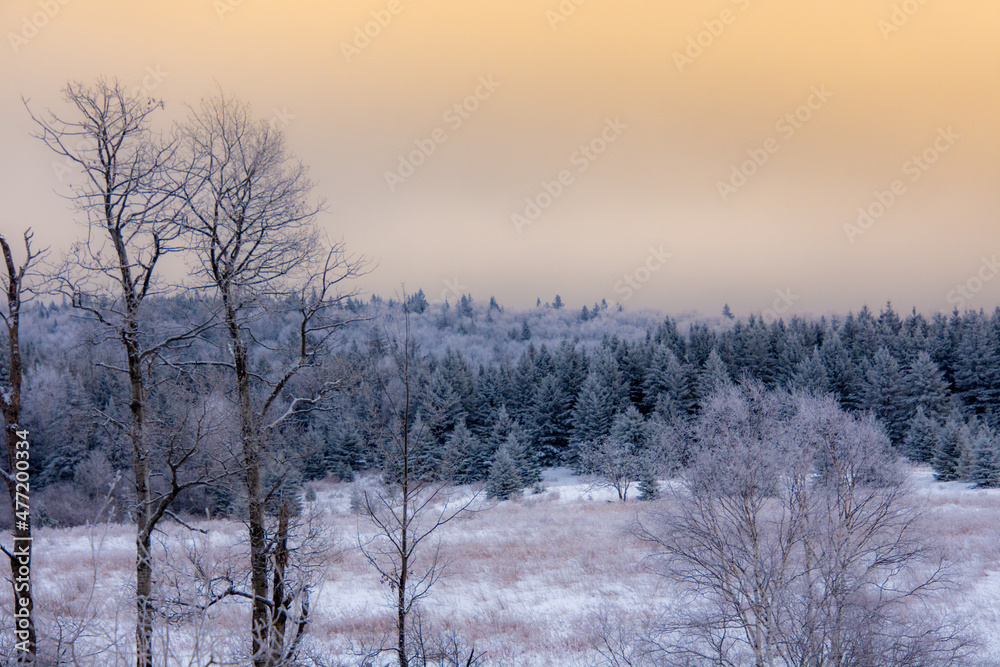 A winter countryside landscape in the province of Quebec, Canada A winter countryside landscape in the province of Quebec, Canada