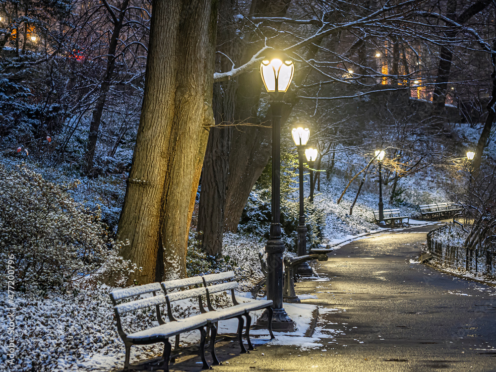 Central Park in winter  snow scene