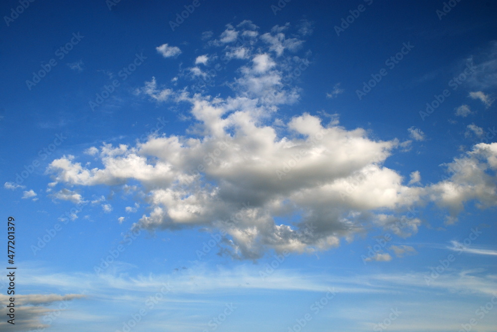 Obraz premium A whimsical white cloud. A small cumulus cloud floats in the light blue sky. It has an interesting shape, from above the cloud is white from below, light gray.