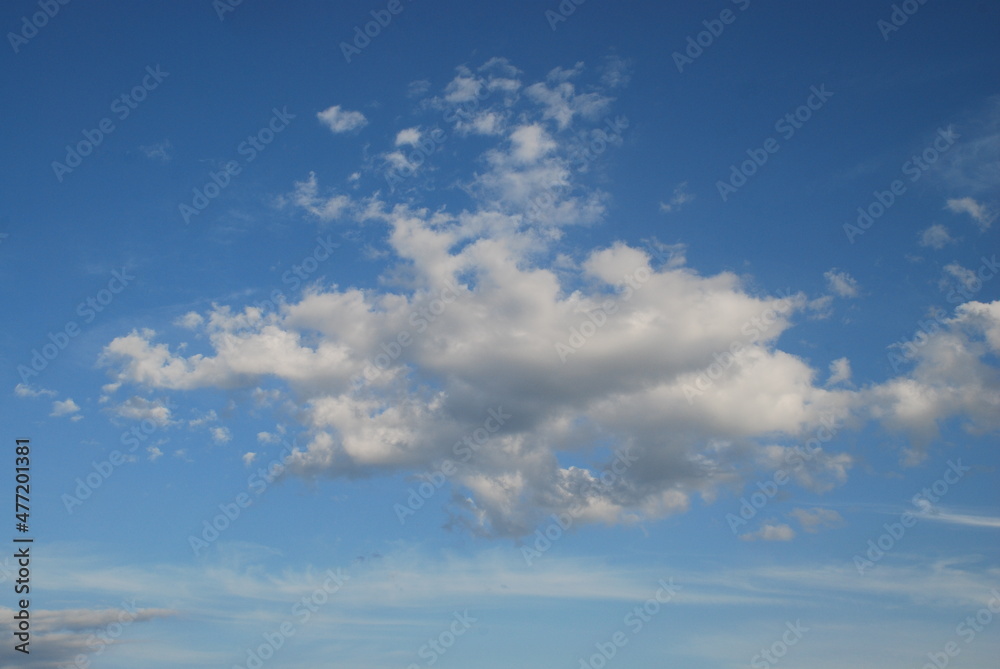 Fototapeta premium A whimsical white cloud. A small cumulus cloud floats in the light blue sky. It has an interesting shape, from above the cloud is white from below, light gray.