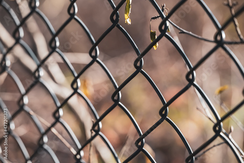 abstract chain link fence pattern silhouetted against a blurred pink background with green leaves and yellow flowers