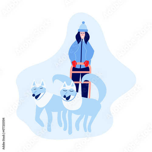 Woman musher riding dog sled team. Happy woman rides husky team dog sled. Vector stock illustration.