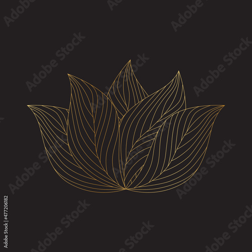 ornamental lotus flower
