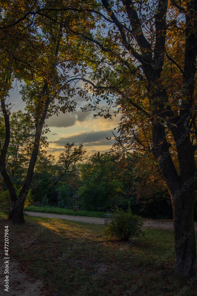 sunset in autumn park