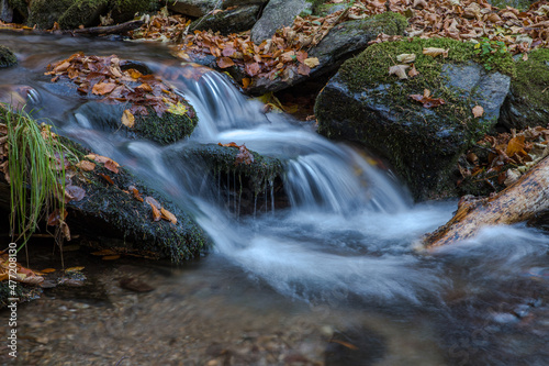Fototapeta Naklejka Na Ścianę i Meble -  colorful leaves and cascade on the creek in the autumn forest