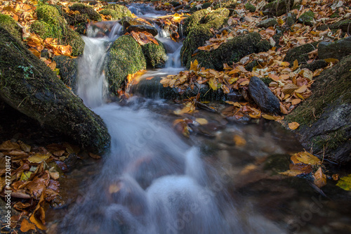 Fototapeta Naklejka Na Ścianę i Meble -  colorful leaves and cascade on the creek in the autumn forest