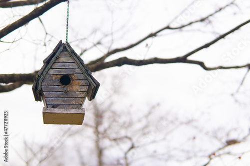 Birdhouse Hanging from a Tree in the Autumn 