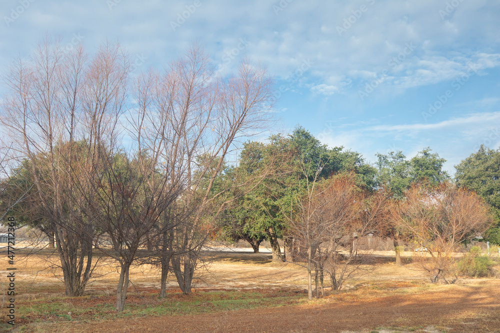 Brownwood Texas lake, walking trail, sunny day mourning, beautiful relaxing panorama view, recreation area. Brownwood Texas lake, walking trail, sunny day mourning, beautiful relaxing panorama view, recreation area.