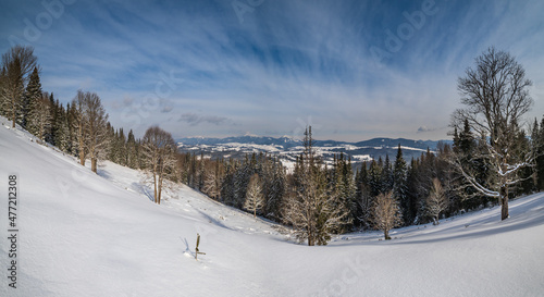 Winter remote alpine mountain village outskirts, countryside hills, groves and farmlands. photo