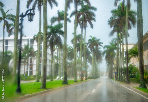 Slika na platnu Palm Beach boulevard on a rainy day, Florida.