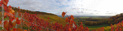 Vineyards in Autumn, Heuchelberb, Baden-Württemberg, Germany