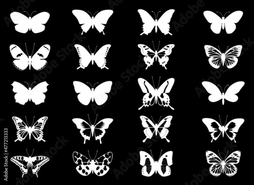 Set white butterfly on black background. Illustration and Icons.