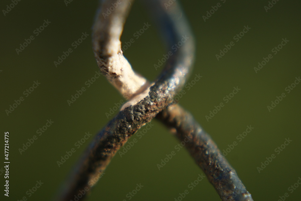 macro macro