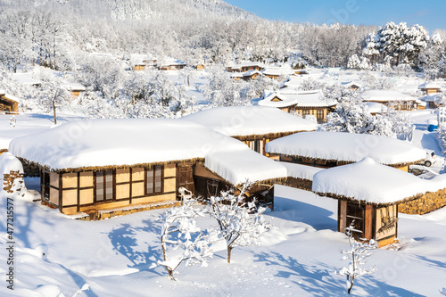 Snow scene in a traditional village with many snow